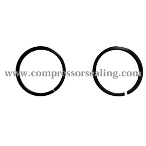 PTFE piston ring