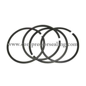 Piston ring