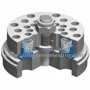 Poppet valve kits