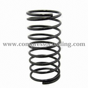 Valve spring